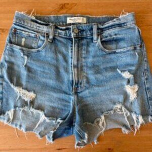 Abercrombie & Fitch Curve Love the Mom Shorts high rise 30/10